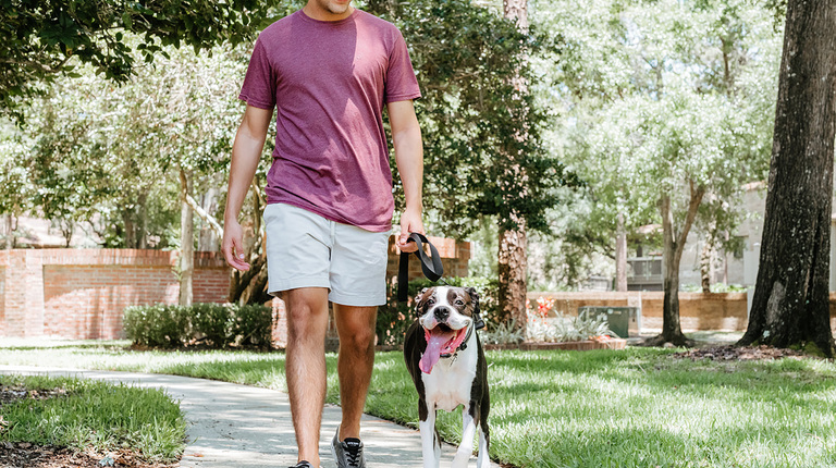 Pet-Friendly Walking Paths